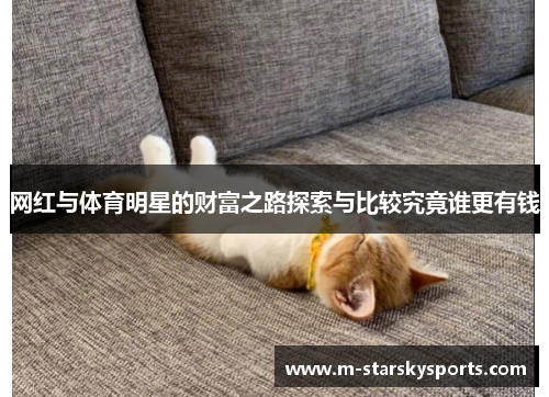 网红与体育明星的财富之路探索与比较究竟谁更有钱